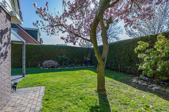 Foto 61 van Buurlandt 1