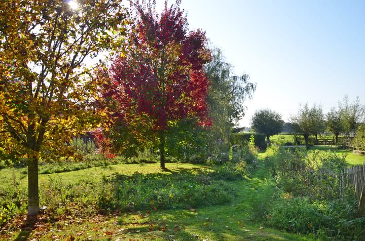 Foto 59 van Ulftseweg 62