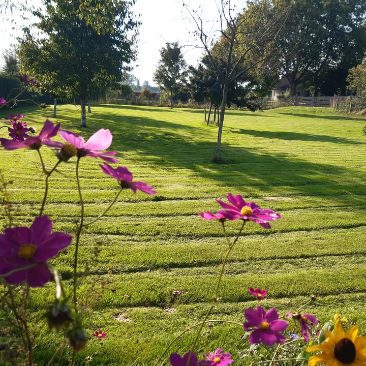 Foto 58 van Ulftseweg 62