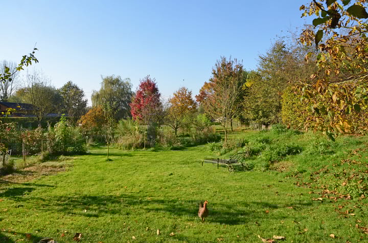 Foto 60 van Ulftseweg 62