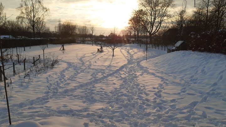 Foto 61 van Ulftseweg 62