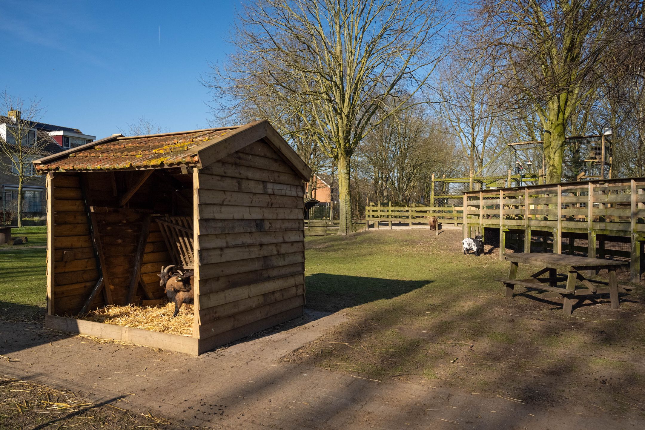 Foto 9 van Mauritsstraat 36