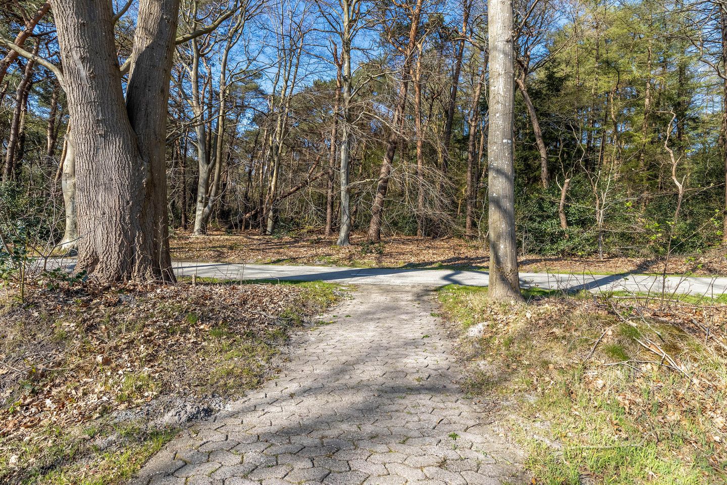 Photo 40 of Eenerstraat 73