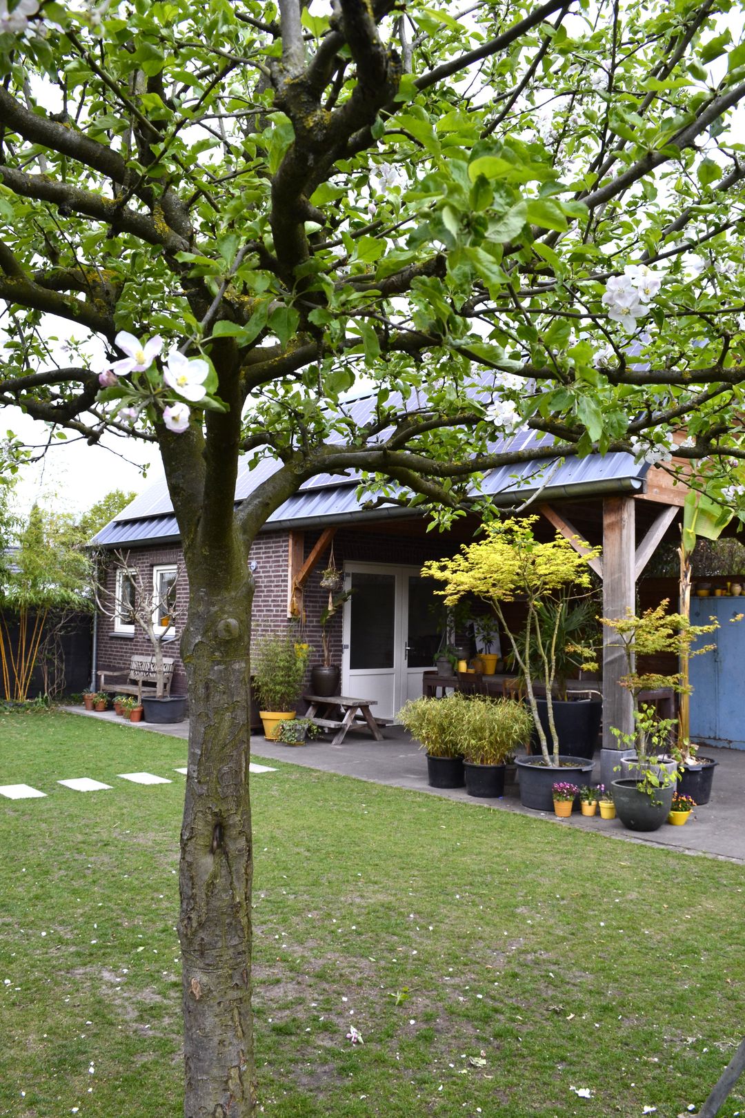 Foto 53 van Heuvel 21