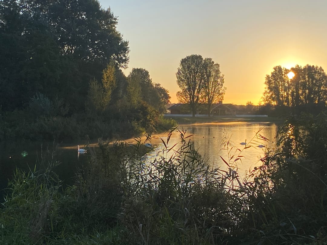 Foto 46 van Jan van Abbenbroekstraat 7