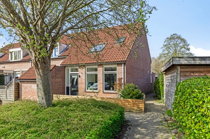 undefined main image