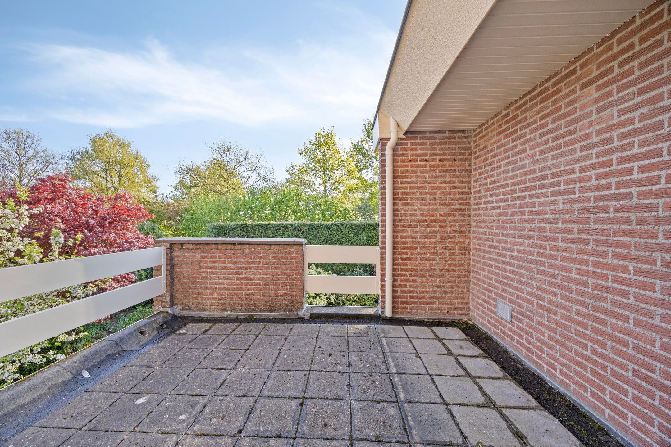 Foto 18 van Homberg 3619