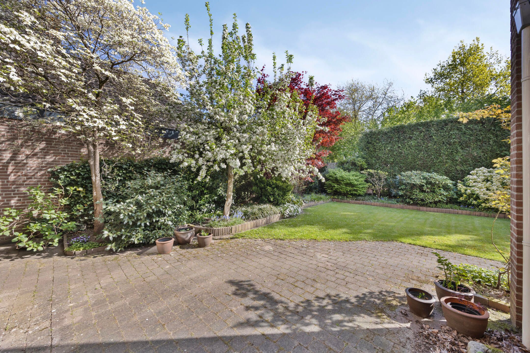 Foto 36 van Homberg 3619