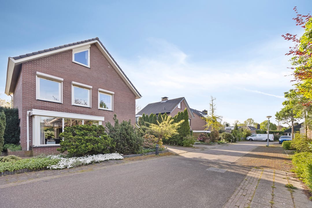 Foto 41 van Homberg 3619