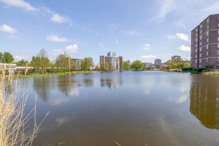 Foto 42 van Rubenssingel 39