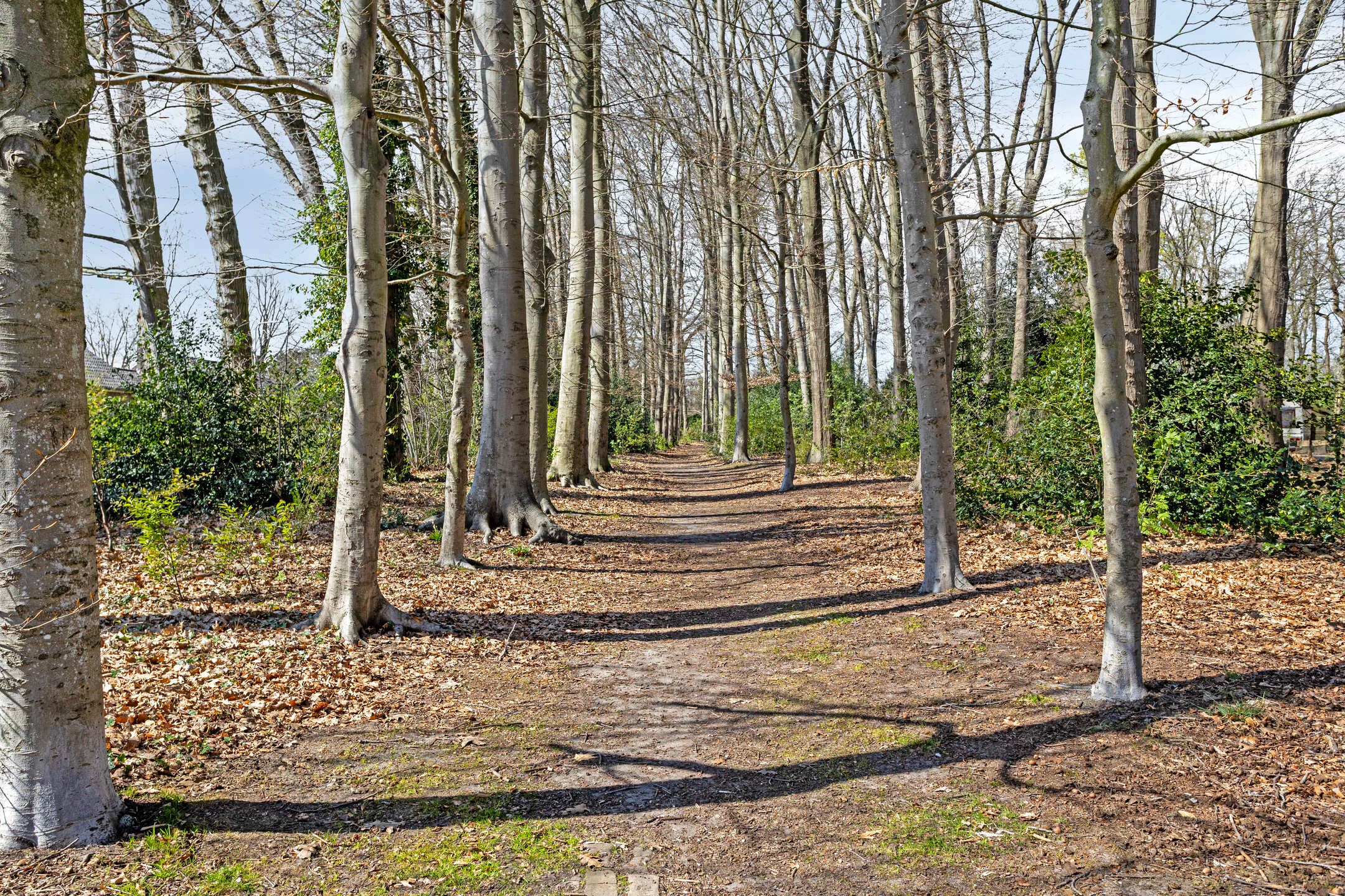 Foto 36 van van der Borch van Verwoldeweg 1