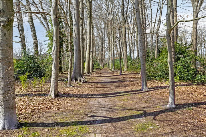 Foto 36 van van der Borch van Verwoldeweg 1