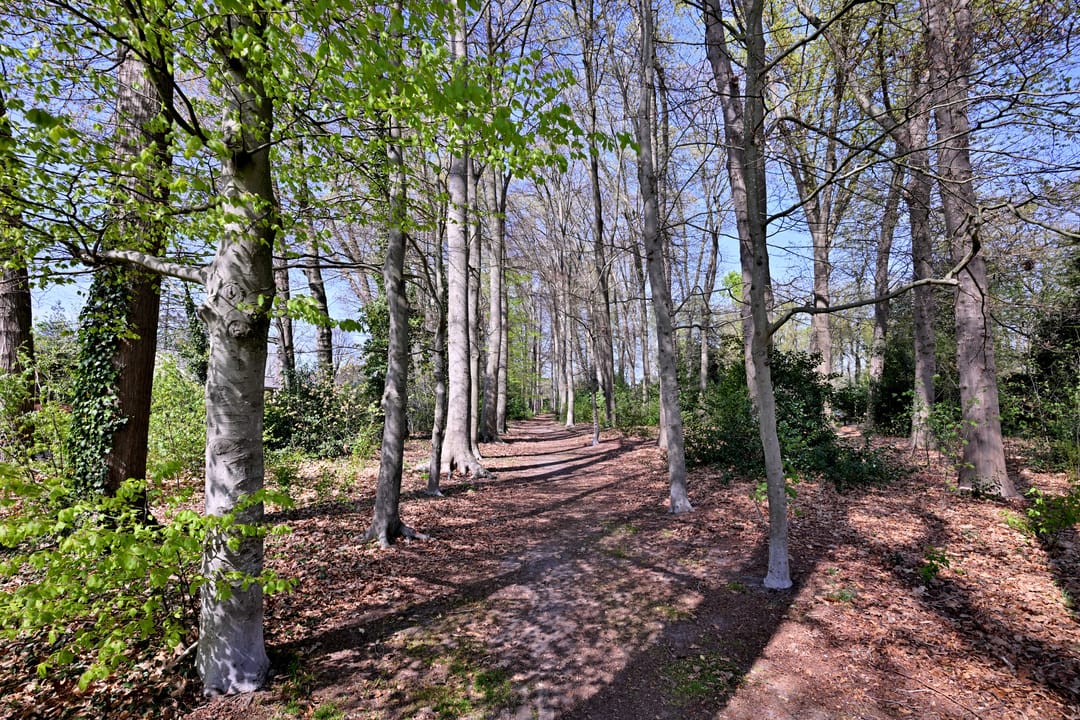 Foto 37 van van der Borch van Verwoldeweg 1