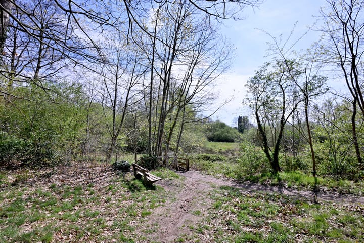 Foto 38 van van der Borch van Verwoldeweg 1