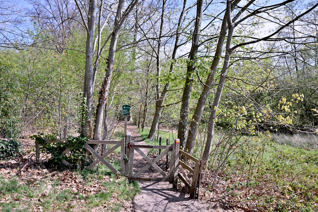 Foto 41 van van der Borch van Verwoldeweg 1