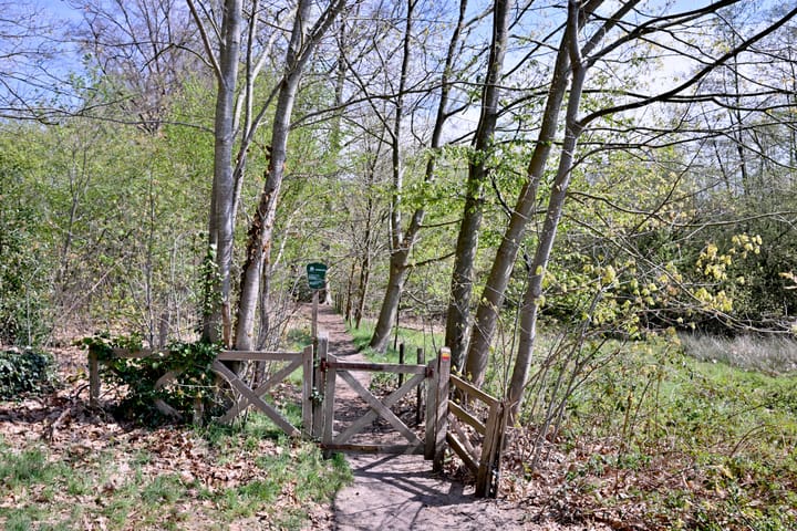 Foto 41 van van der Borch van Verwoldeweg 1