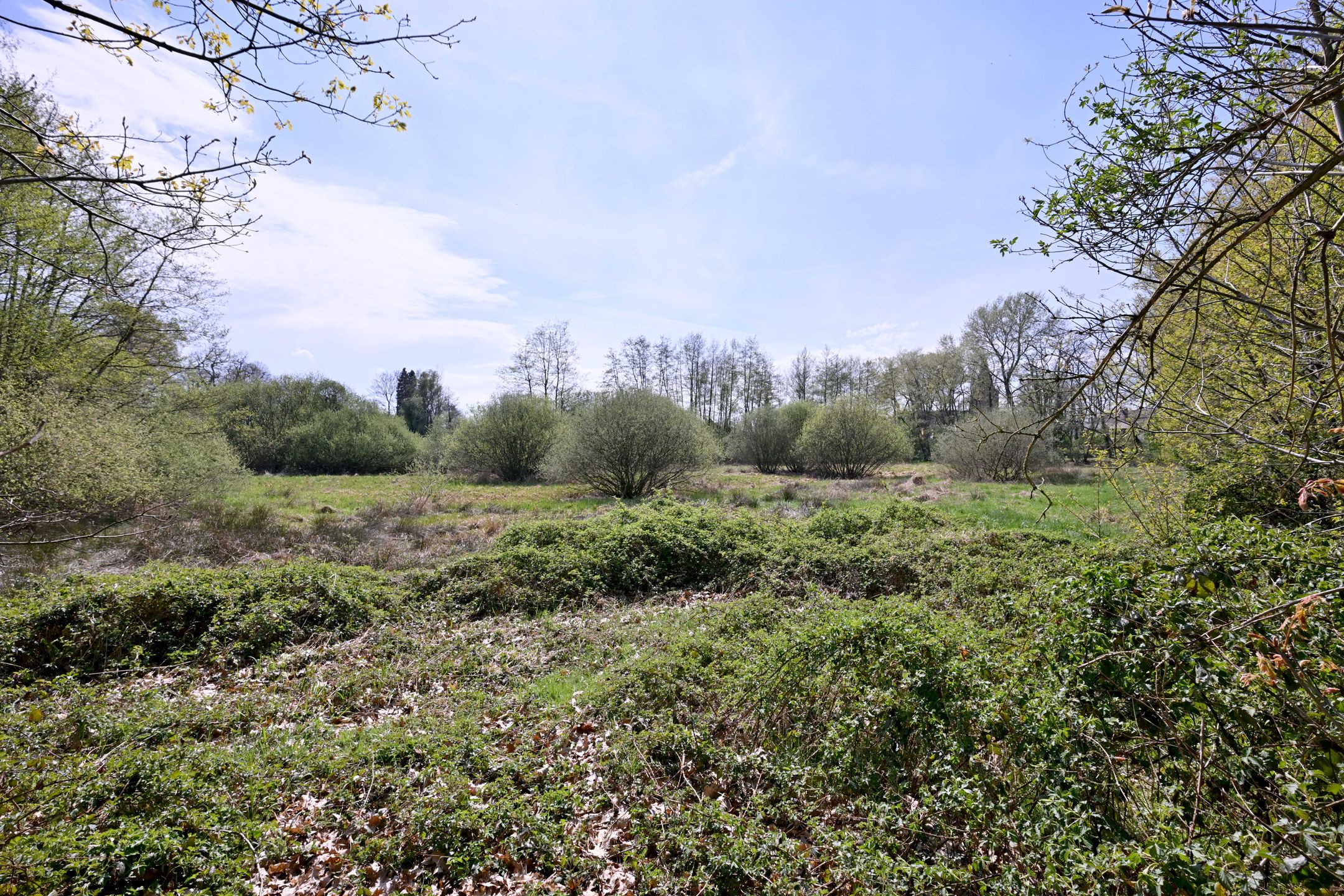 Foto 42 van van der Borch van Verwoldeweg 1