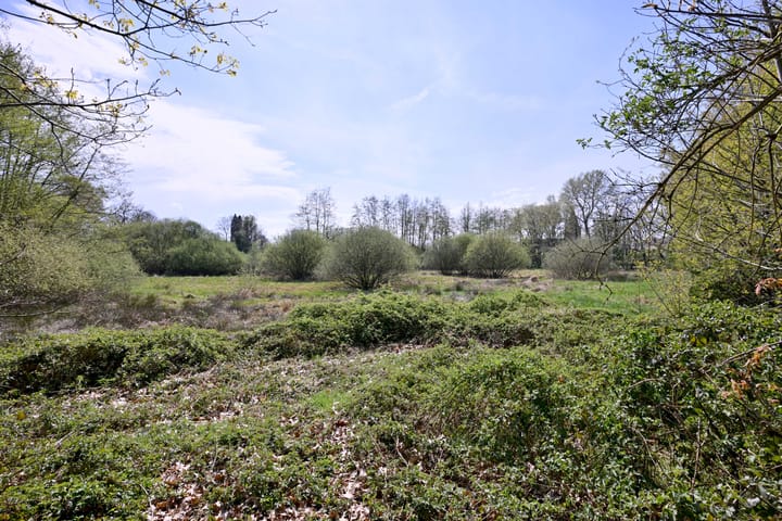 Foto 42 van van der Borch van Verwoldeweg 1