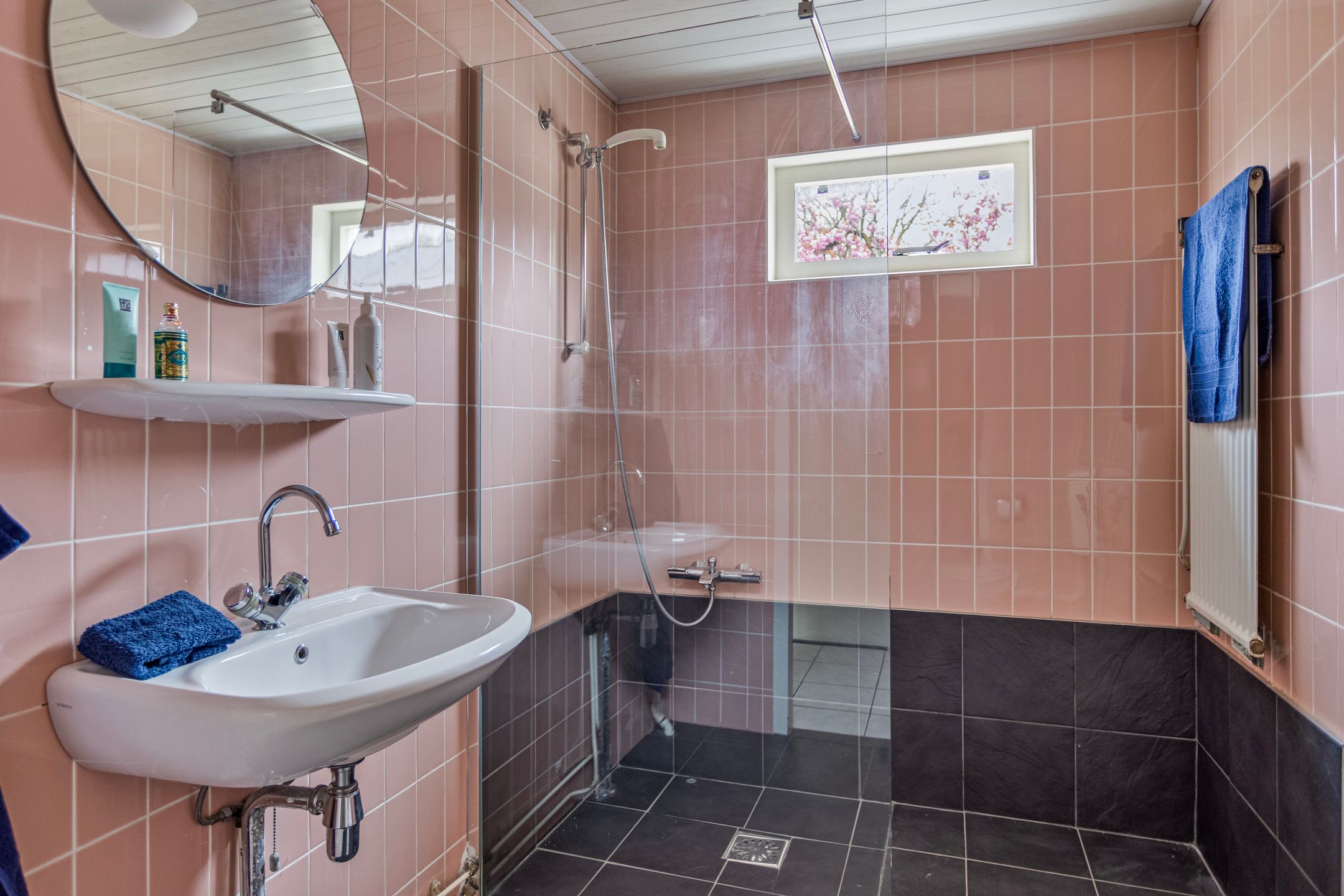 Photo 21 of Radboud 10