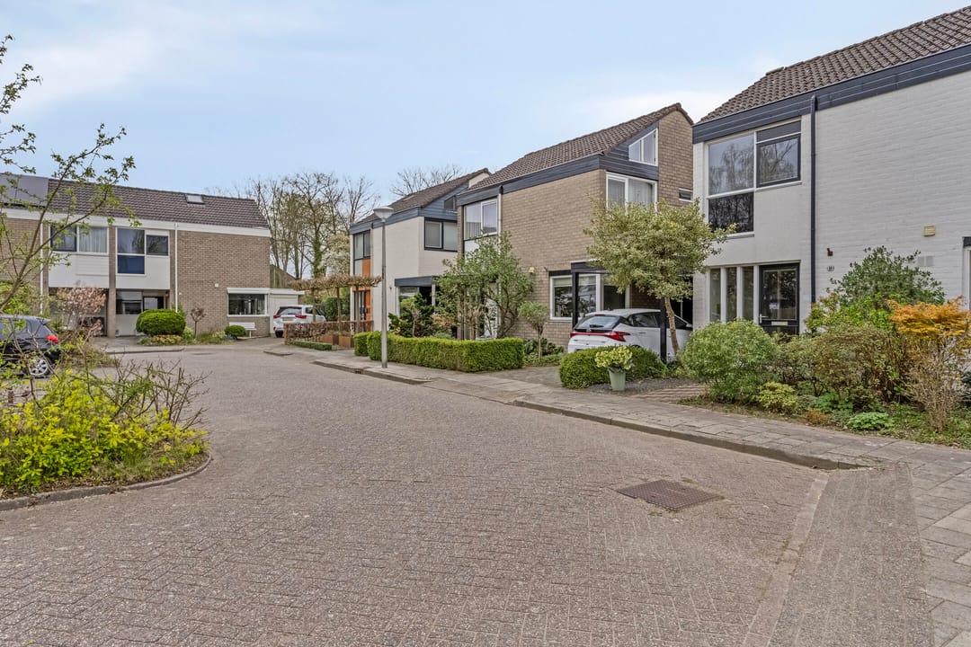 Photo 32 of Radboud 10