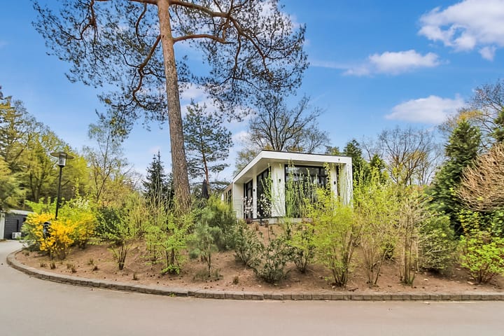 Foto 2 van Immenweg 15-109