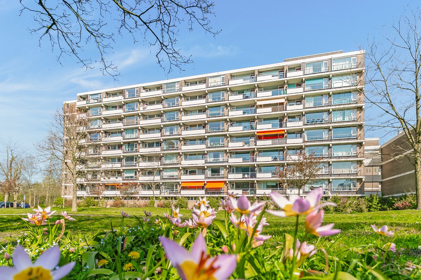 Foto 1 van Martin Luther Kinglaan 486