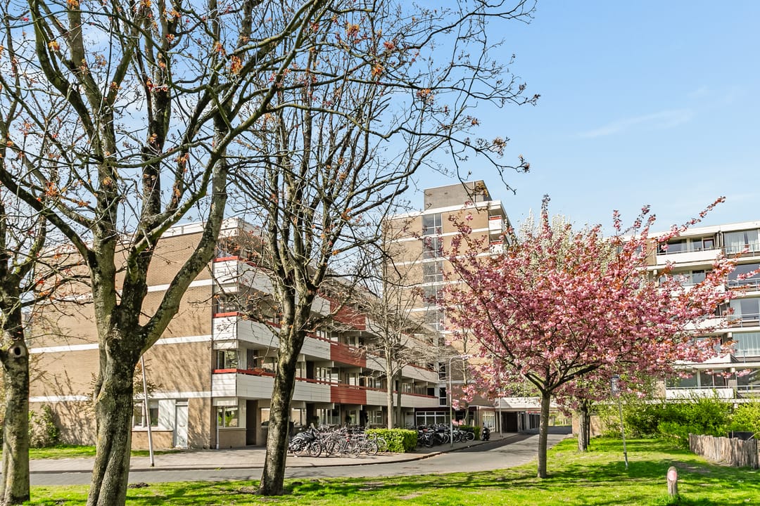 Foto 28 van Martin Luther Kinglaan 486