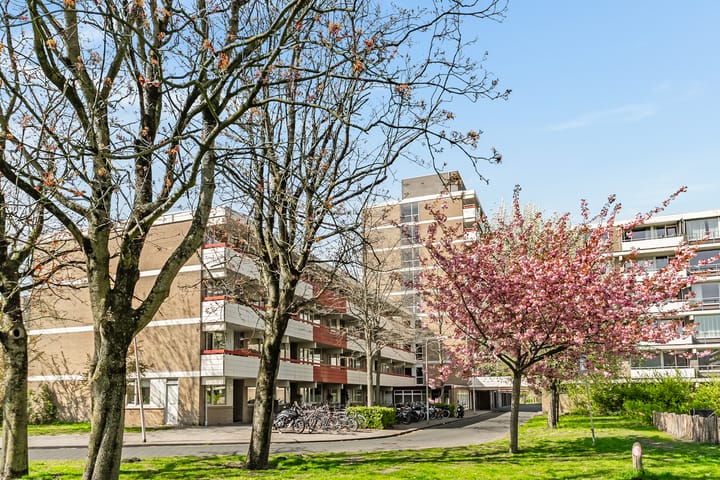 Foto 28 van Martin Luther Kinglaan 486