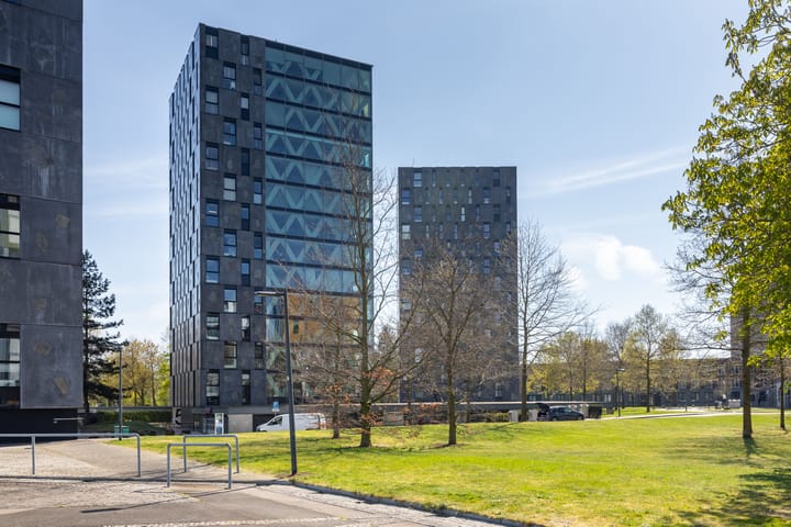 Foto 1 van Nonnenveld 655