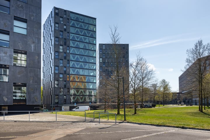 Foto 24 van Nonnenveld 655