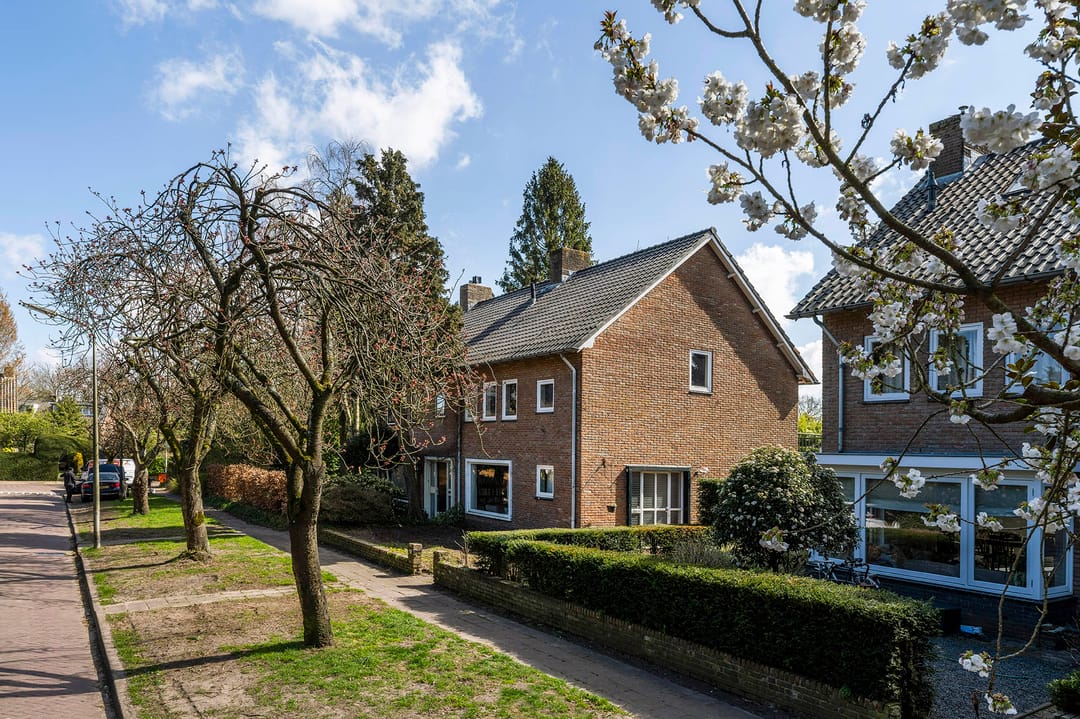 Photo 46 of Steffenshein 11