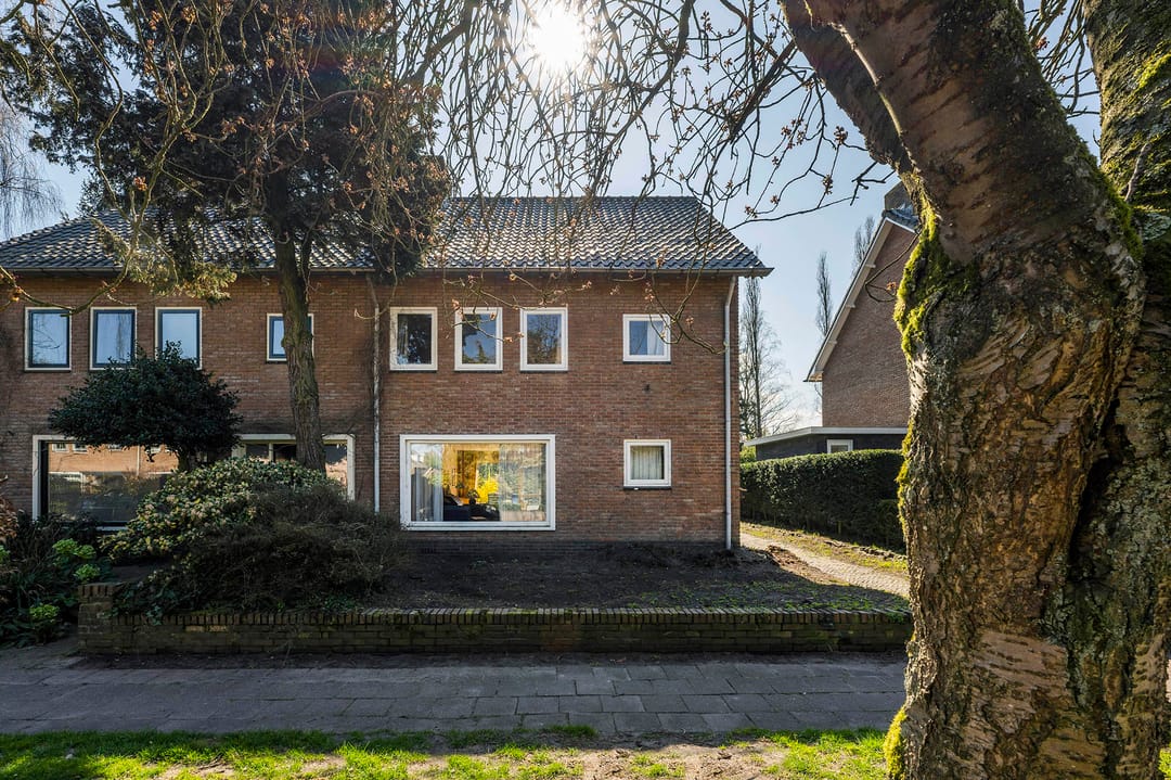 Photo 2 of Steffenshein 11