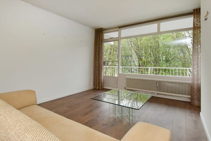 Photo 8 of Suzannaland 578