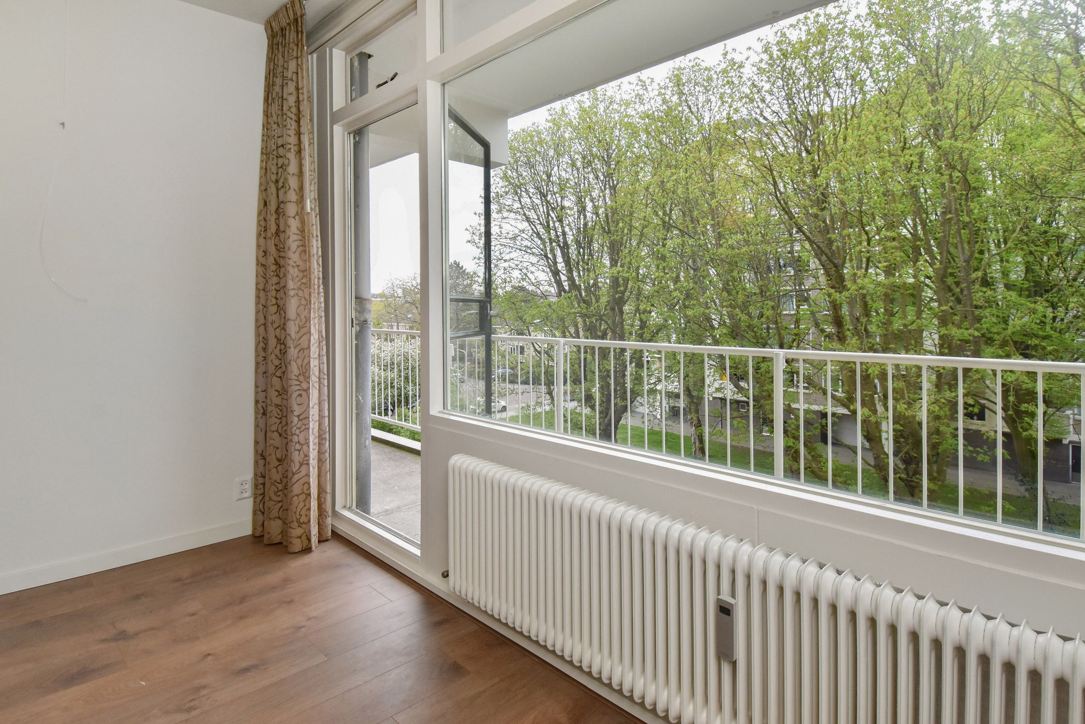 Photo 9 of Suzannaland 578