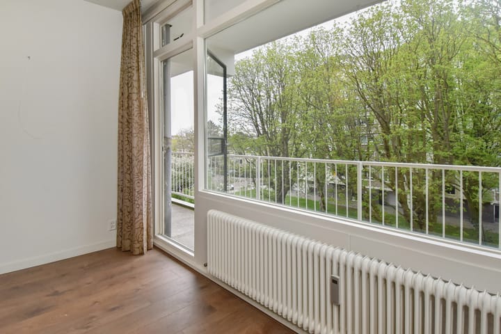 Photo 9 of Suzannaland 578