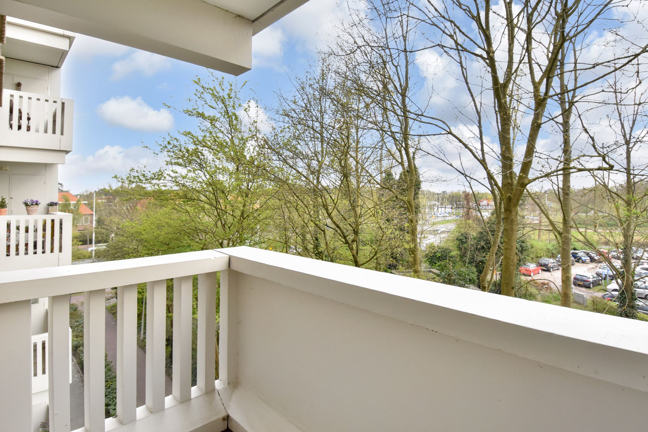 Photo 15 of Suzannaland 578