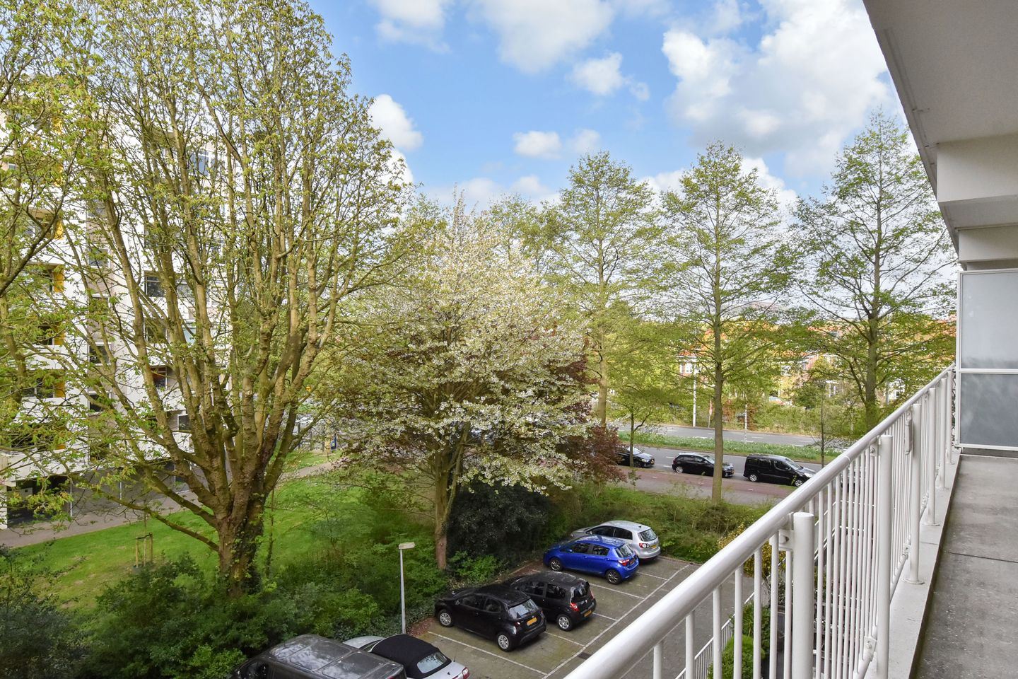 Photo 29 of Suzannaland 578