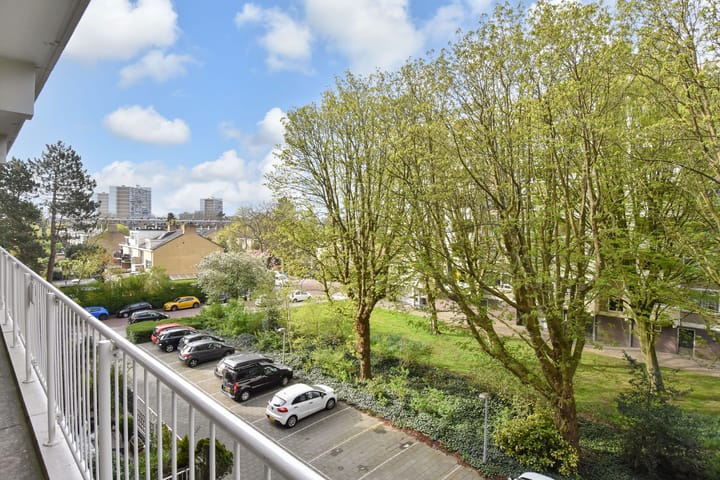 Photo 30 of Suzannaland 578