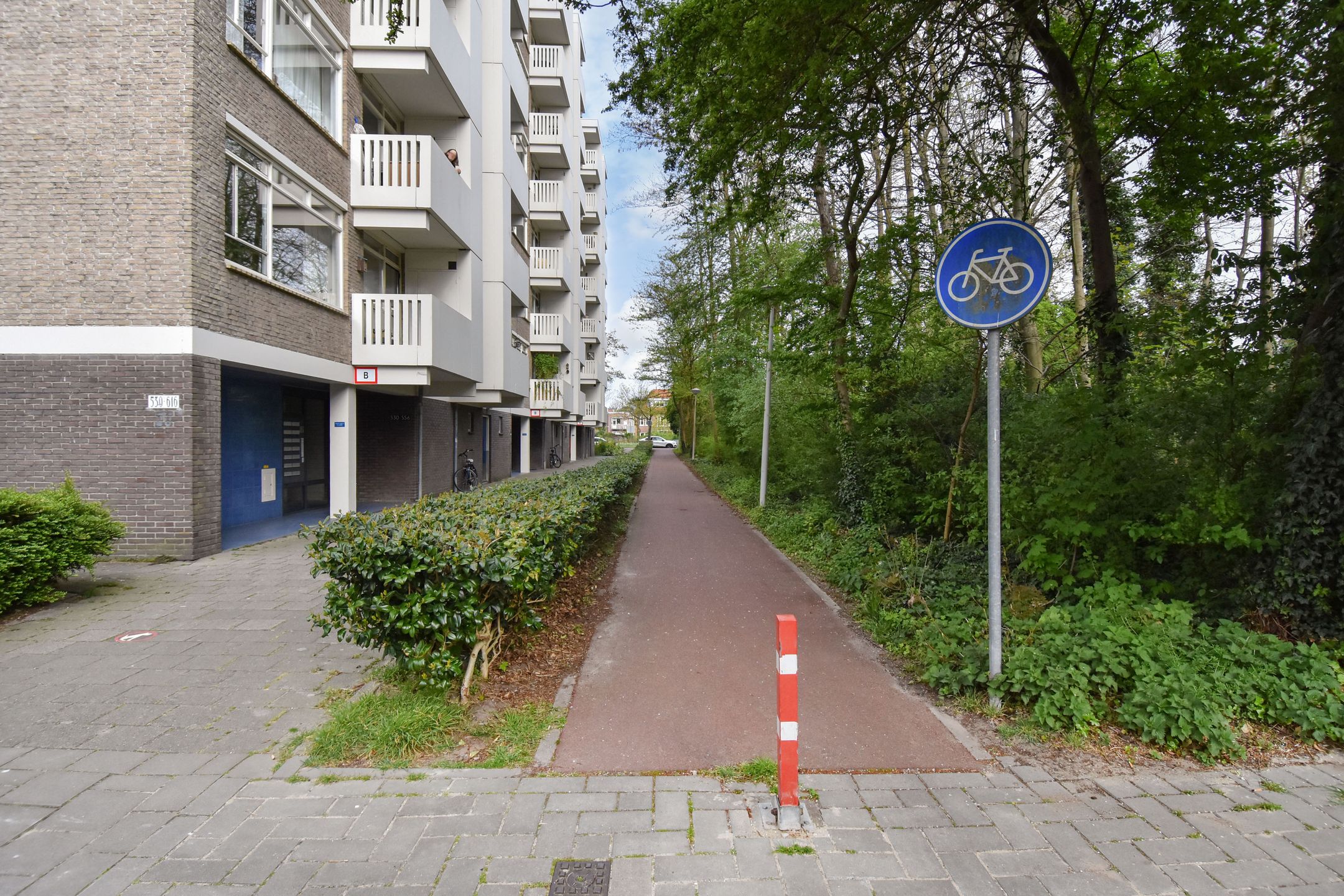 Photo 33 of Suzannaland 578