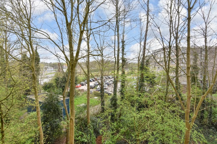 Photo 37 of Suzannaland 578