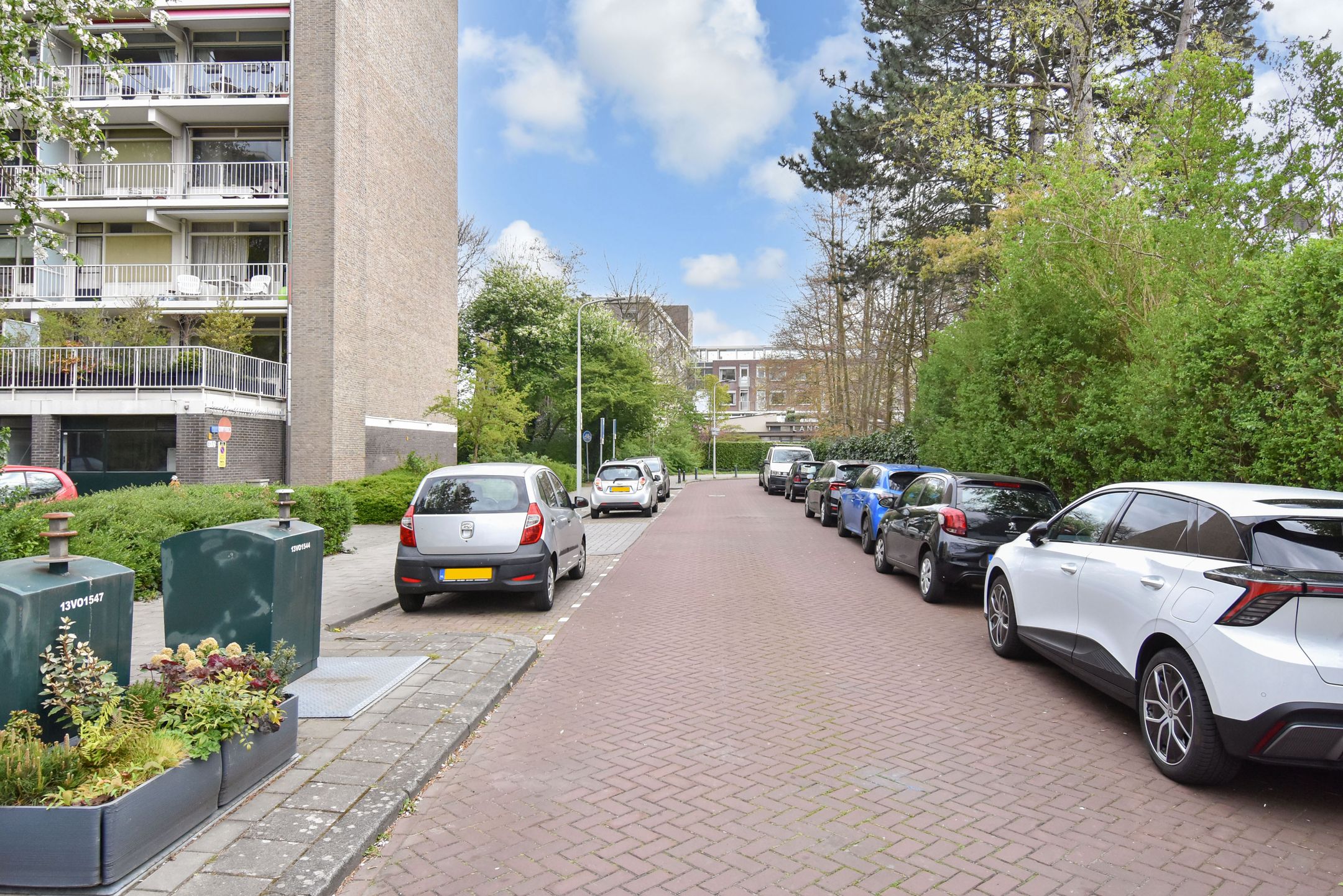 Photo 39 of Suzannaland 578