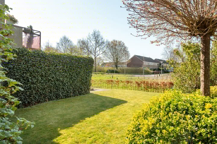 Foto 23 van Stjoerboard 12