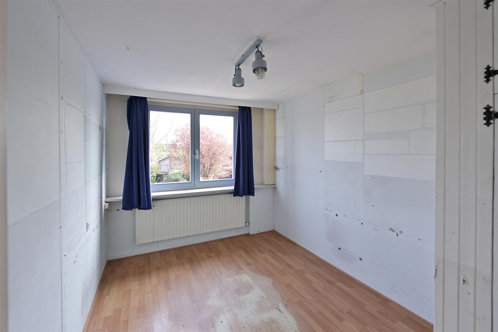 Photo 9 of Regenboog 57