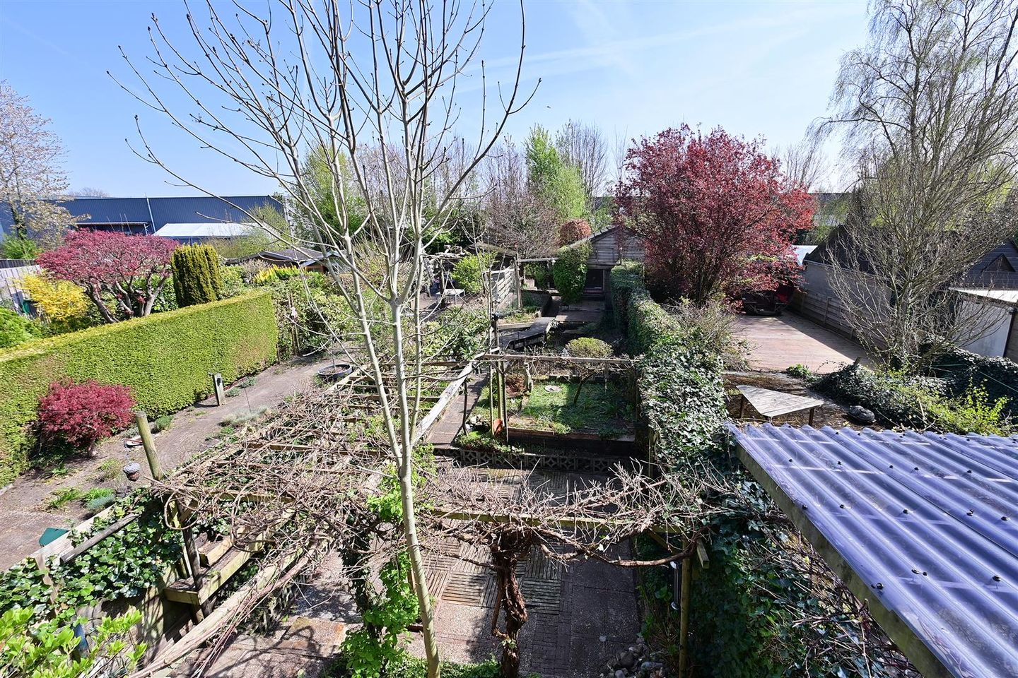 Photo 10 of Regenboog 57