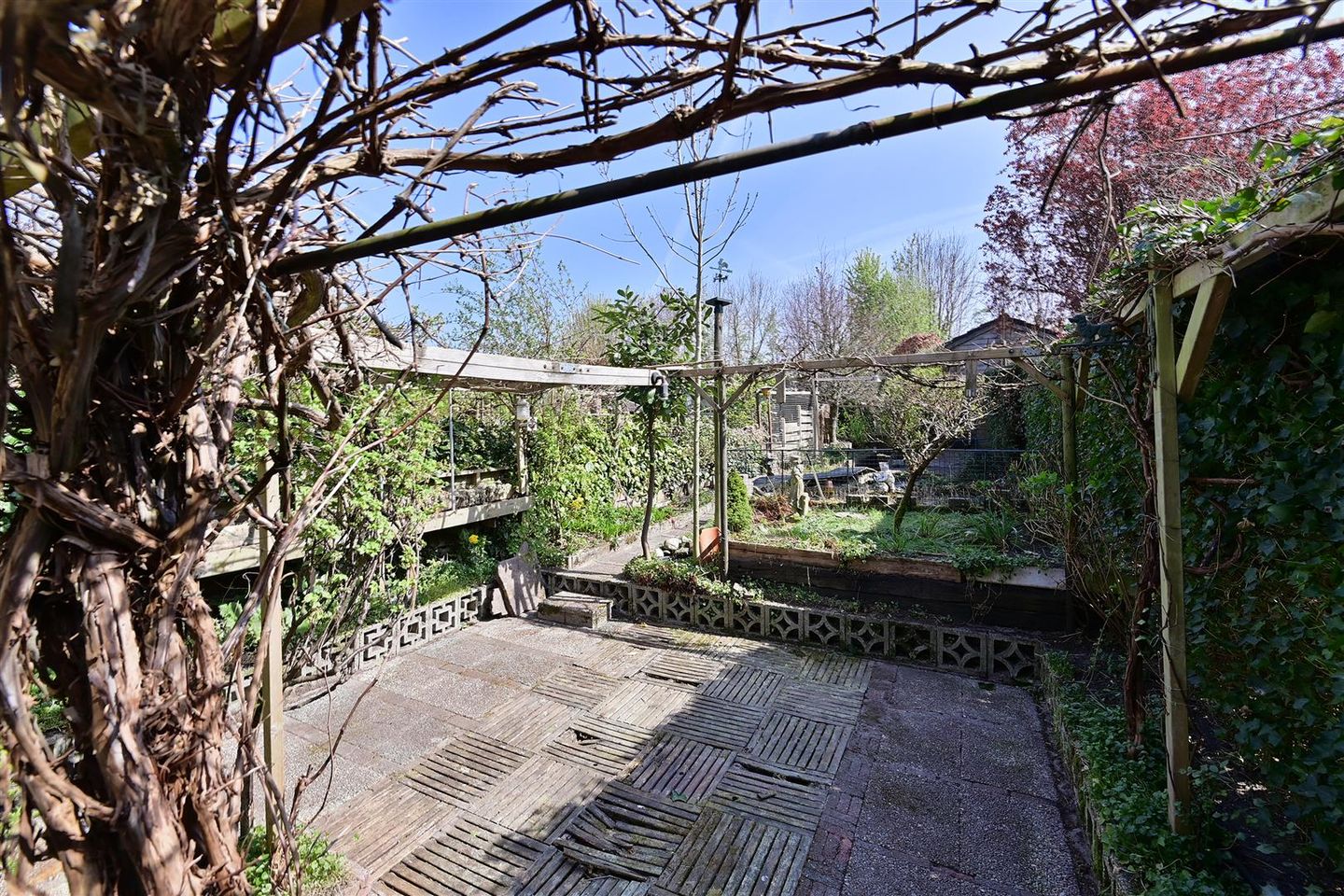 Photo 14 of Regenboog 57