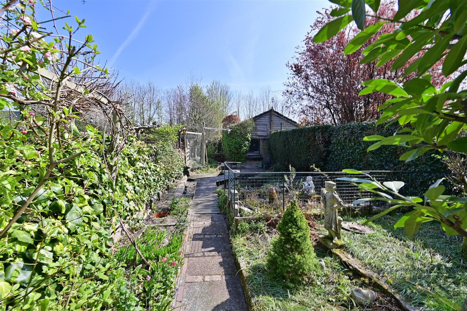 Photo 15 of Regenboog 57