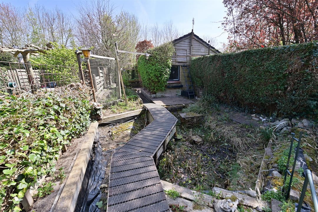 Photo 17 of Regenboog 57