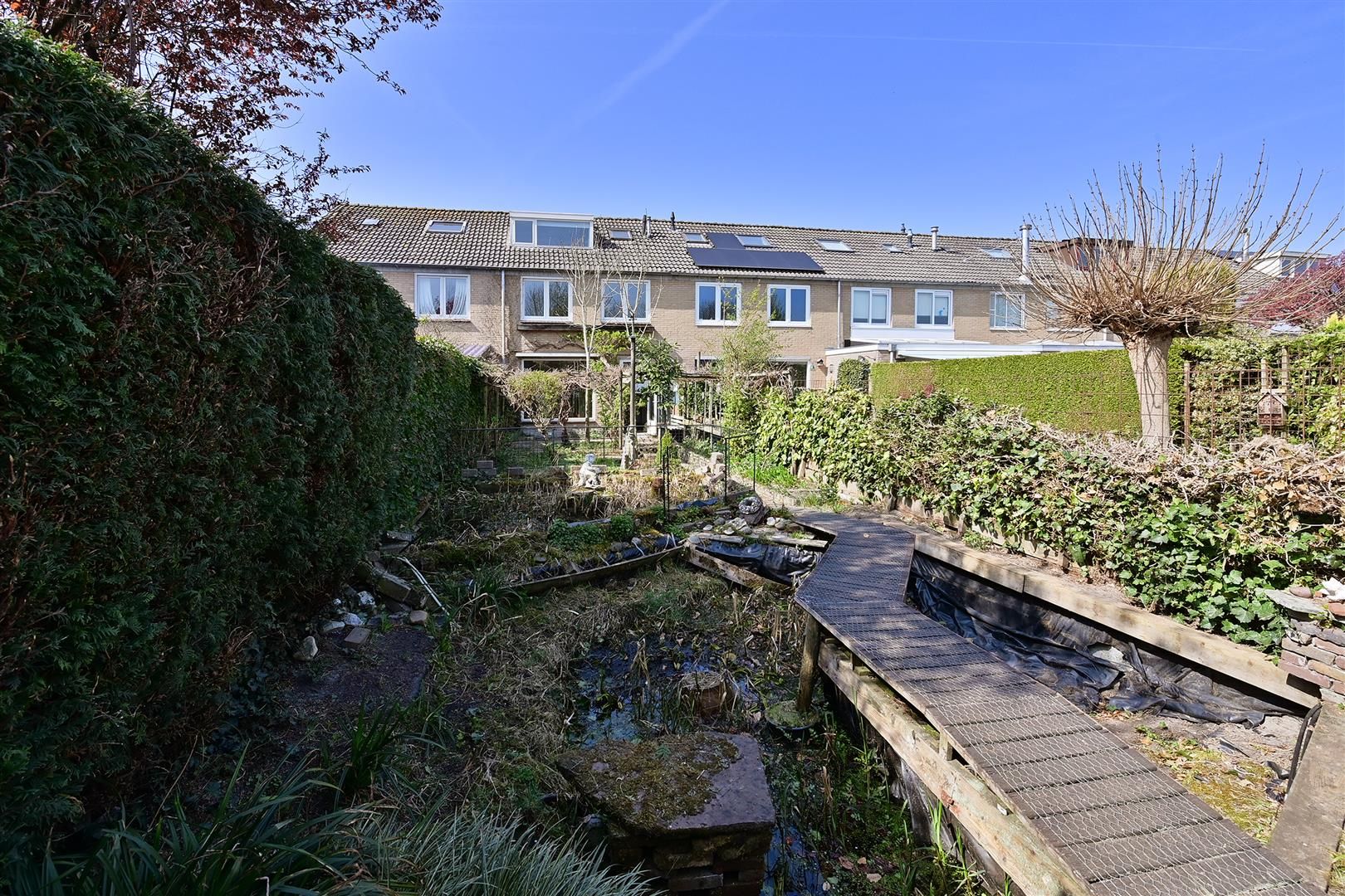 Photo 18 of Regenboog 57