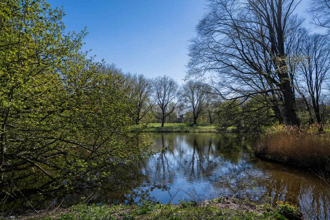 Foto 26 van Orteliusstraat 186-1