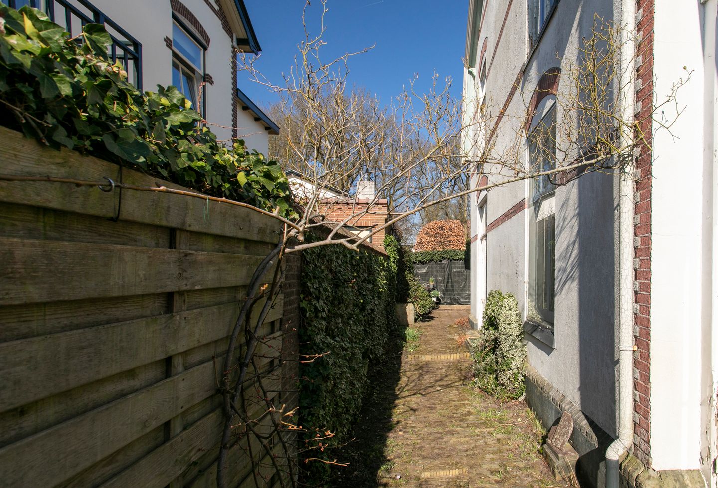 Foto 25 van Krugerlaan 10